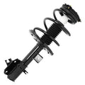 SHOCKS & STRUTS