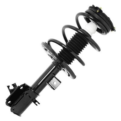SHOCKS & STRUTS