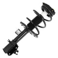 SHOCKS & STRUTS