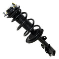 SHOCKS & STRUTS