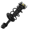 SHOCKS & STRUTS