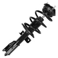 SHOCKS & STRUTS
