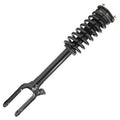 SHOCKS & STRUTS