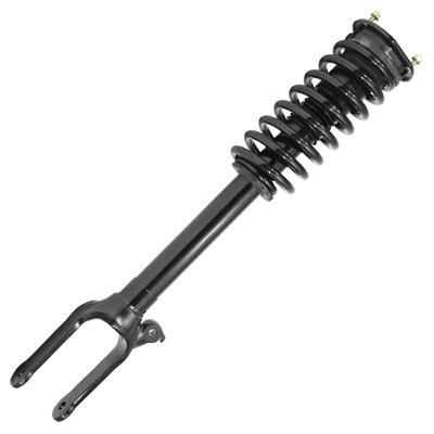 SHOCKS & STRUTS