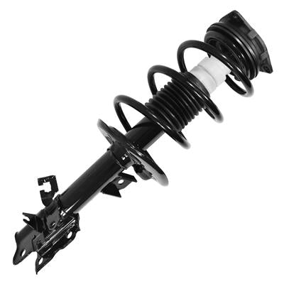 SHOCKS & STRUTS