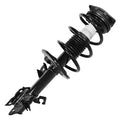 SHOCKS & STRUTS