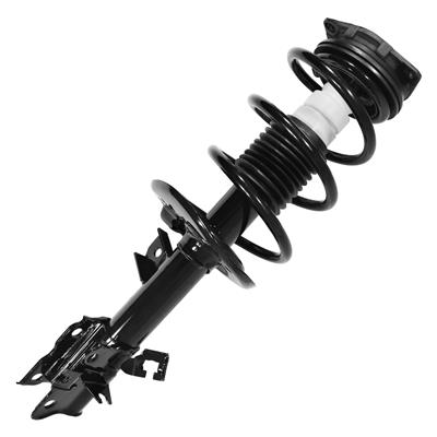 SHOCKS & STRUTS