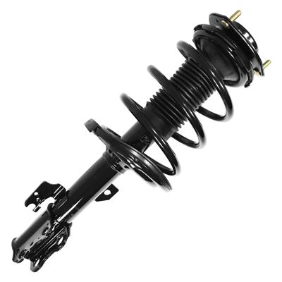 SHOCKS & STRUTS