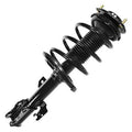 SHOCKS & STRUTS