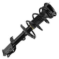 SHOCKS & STRUTS