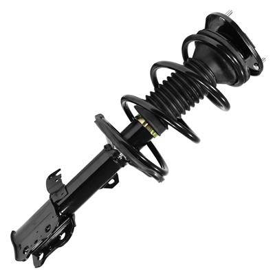 SHOCKS & STRUTS