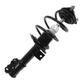 SHOCKS & STRUTS