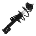SHOCKS & STRUTS