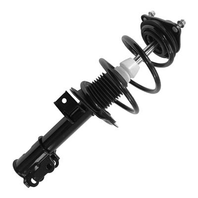 SHOCKS & STRUTS