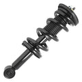 SHOCKS & STRUTS
