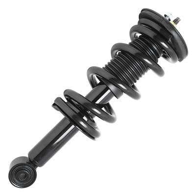 SHOCKS & STRUTS