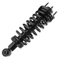 SHOCKS & STRUTS