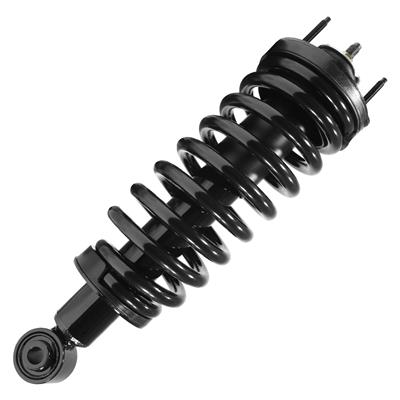 SHOCKS & STRUTS