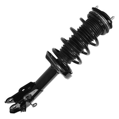 SHOCKS & STRUTS