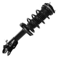 SHOCKS & STRUTS