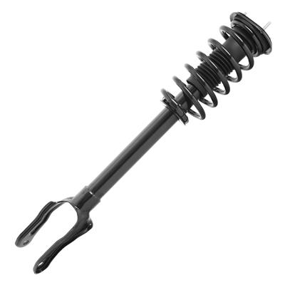 SHOCKS & STRUTS