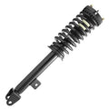 SHOCKS & STRUTS