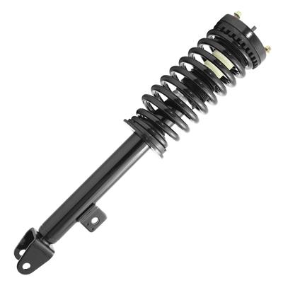 SHOCKS & STRUTS