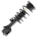 SHOCKS & STRUTS