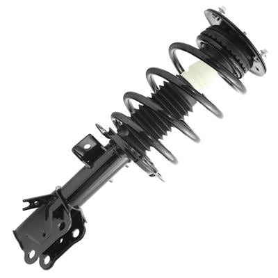 SHOCKS & STRUTS