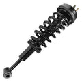 SHOCKS & STRUTS