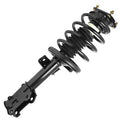 SHOCKS & STRUTS