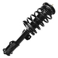 SHOCKS & STRUTS