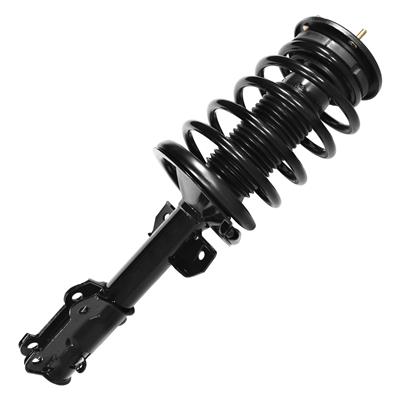 SHOCKS & STRUTS