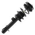 SHOCKS & STRUTS