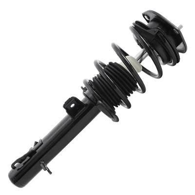 SHOCKS & STRUTS