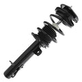 SHOCKS & STRUTS