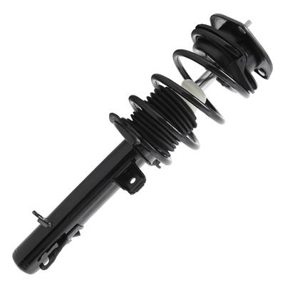 SHOCKS & STRUTS