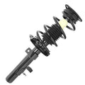 SHOCKS & STRUTS