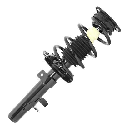 SHOCKS & STRUTS