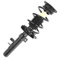 SHOCKS & STRUTS