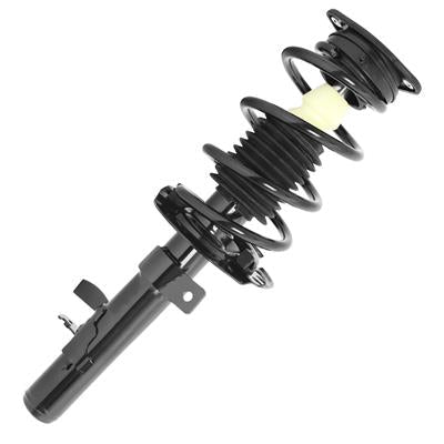SHOCKS & STRUTS