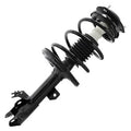 SHOCKS & STRUTS