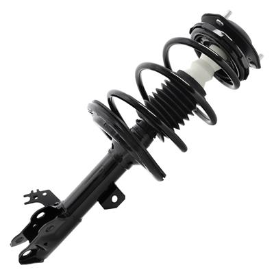 SHOCKS & STRUTS