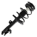 SHOCKS & STRUTS