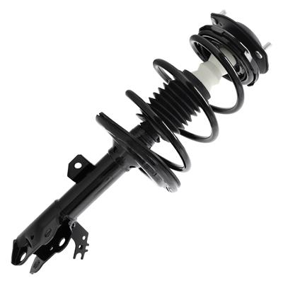 SHOCKS & STRUTS