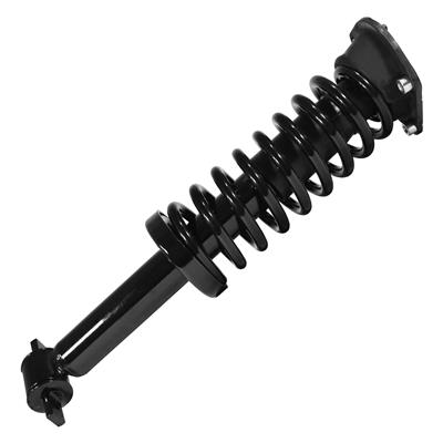 SHOCKS & STRUTS