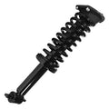 SHOCKS & STRUTS
