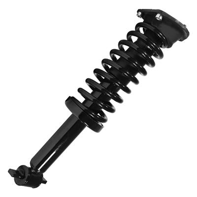 SHOCKS & STRUTS