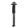 SHOCKS & STRUTS