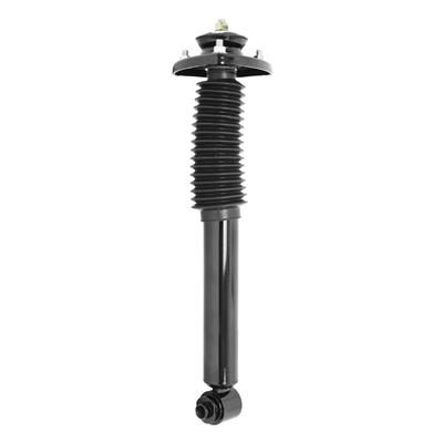 SHOCKS & STRUTS
